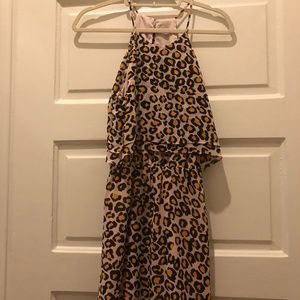 dolce vita leopard print dress